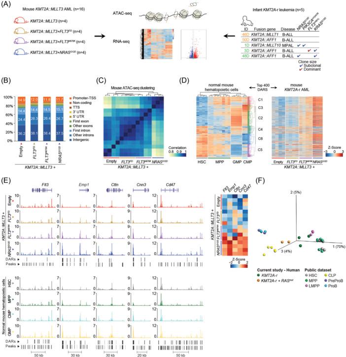 https://cdn.ncbi.nlm.nih.gov/pmc/blobs/70e4/11426354/6d86862d35cc/HEM3-8-e70006-g004.jpg