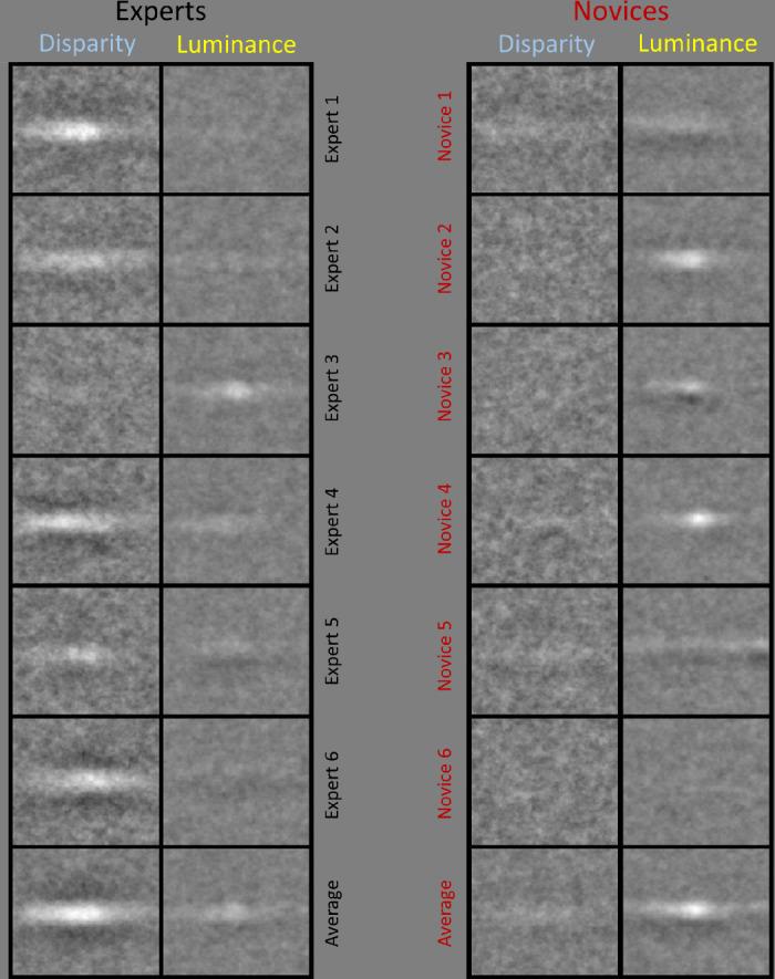 https://cdn.ncbi.nlm.nih.gov/pmc/blobs/70e5/11019598/95b646a8c885/jovi-24-4-11-f005.jpg