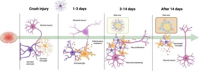 https://cdn.ncbi.nlm.nih.gov/pmc/blobs/70e6/11604677/ecdff1c8a816/10571_2024_1517_Fig3_HTML.jpg