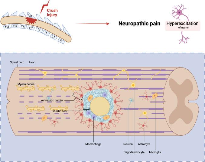 https://cdn.ncbi.nlm.nih.gov/pmc/blobs/70e6/11604677/ef4e6fa463c3/10571_2024_1517_Fig1_HTML.jpg