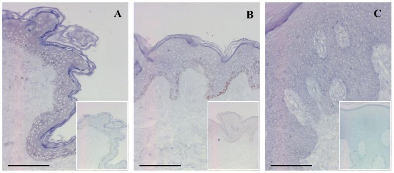 https://cdn.ncbi.nlm.nih.gov/pmc/blobs/70e6/3565259/1a4acf55eab8/ijms-14-00205f2.jpg