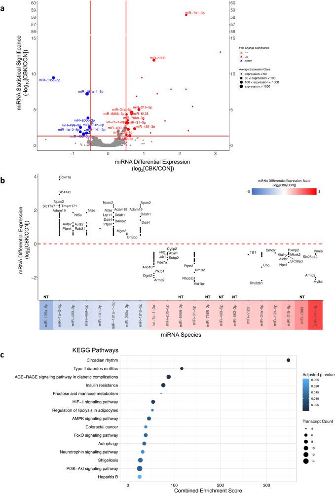 https://cdn.ncbi.nlm.nih.gov/pmc/blobs/70e7/10640639/7fab6bf99863/42003_2023_5537_Fig3_HTML.jpg