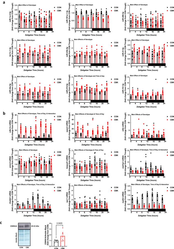 https://cdn.ncbi.nlm.nih.gov/pmc/blobs/70e7/10640639/dceb0e0931f6/42003_2023_5537_Fig4_HTML.jpg
