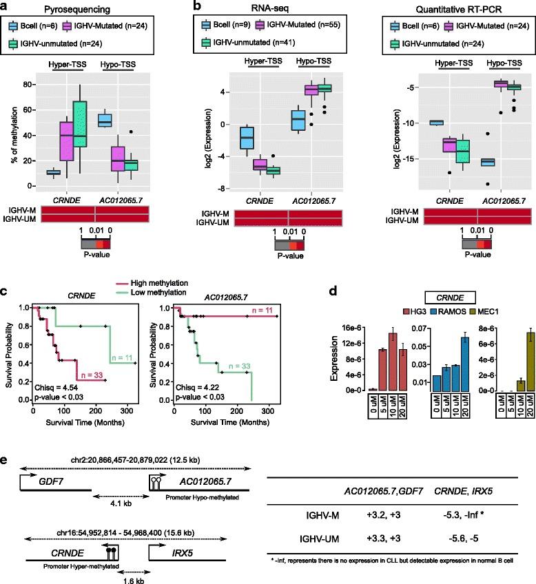 https://cdn.ncbi.nlm.nih.gov/pmc/blobs/70e7/5062931/4600edb6e44d/13148_2016_274_Fig4_HTML.jpg