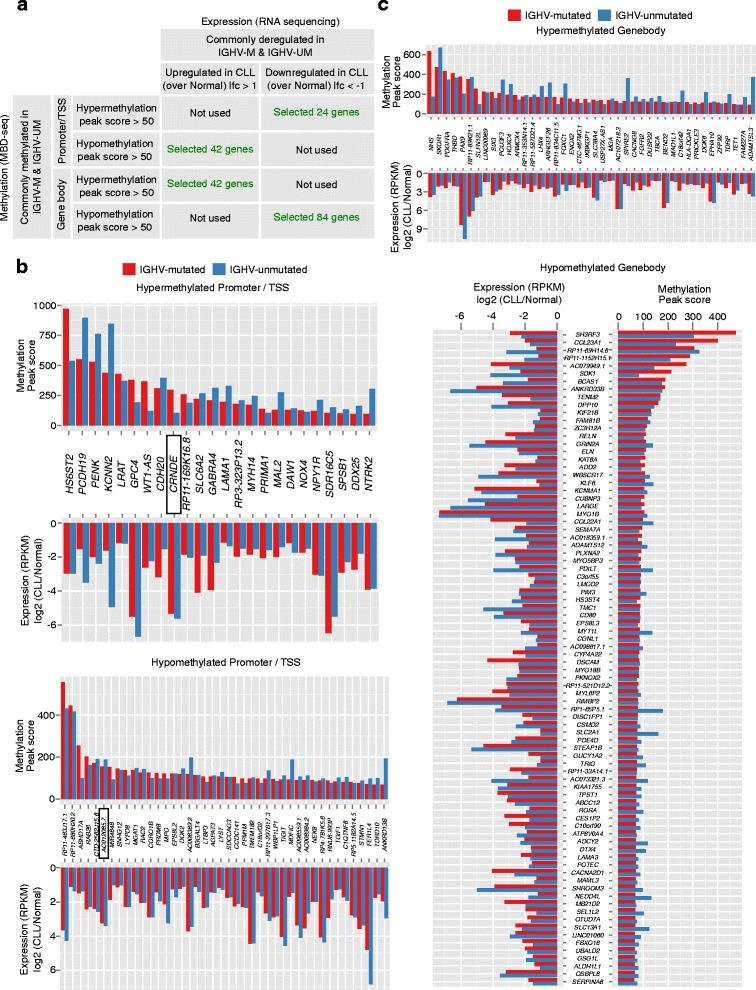 https://cdn.ncbi.nlm.nih.gov/pmc/blobs/70e7/5062931/5a865106ebd1/13148_2016_274_Fig3_HTML.jpg