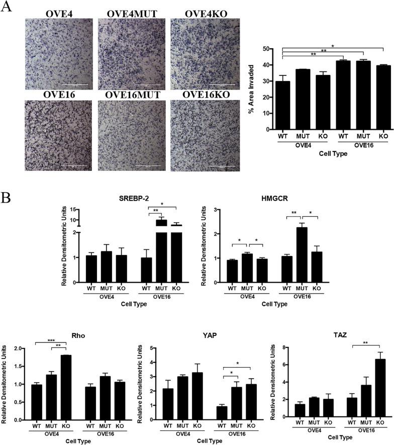 https://cdn.ncbi.nlm.nih.gov/pmc/blobs/70e9/10662458/474d7bb5ba2b/13048_2023_1307_Fig1_HTML.jpg