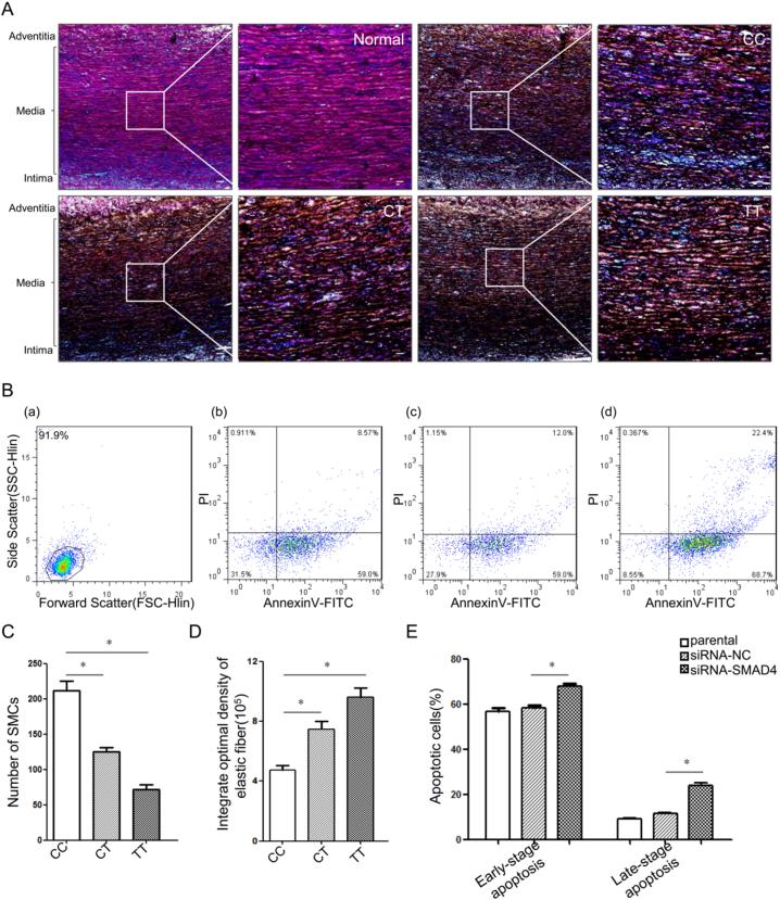 https://cdn.ncbi.nlm.nih.gov/pmc/blobs/70e9/5514432/1863648132f5/gr4.jpg