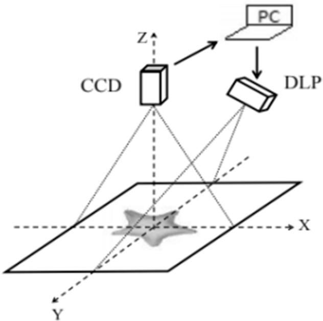 https://cdn.ncbi.nlm.nih.gov/pmc/blobs/70e9/8155059/3215765154fd/41598_2021_90522_Fig1_HTML.jpg