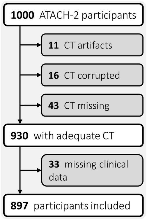 https://cdn.ncbi.nlm.nih.gov/pmc/blobs/70ea/10467422/72289b23f969/fnins-17-1225342-g001.jpg