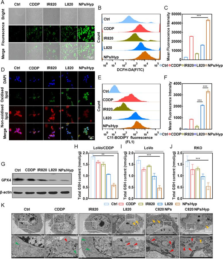 https://cdn.ncbi.nlm.nih.gov/pmc/blobs/70ea/10518107/b220be6e340d/40824_2023_427_Fig3_HTML.jpg