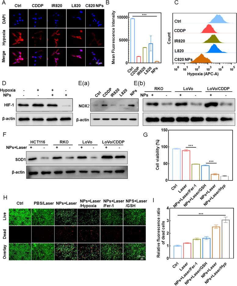 https://cdn.ncbi.nlm.nih.gov/pmc/blobs/70ea/10518107/f04c8837b479/40824_2023_427_Fig4_HTML.jpg