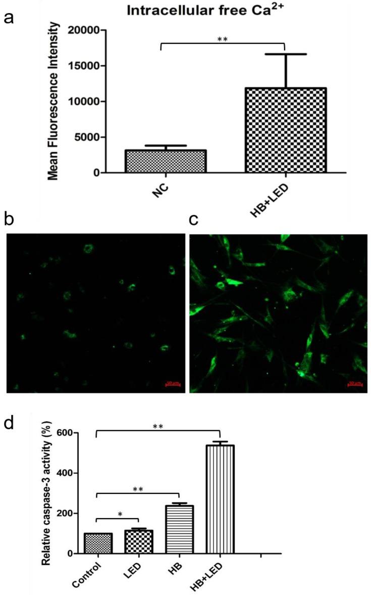 https://cdn.ncbi.nlm.nih.gov/pmc/blobs/70ea/5370439/12915419b6cd/ijbsv13p0319g004.jpg