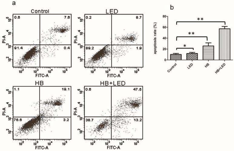 https://cdn.ncbi.nlm.nih.gov/pmc/blobs/70ea/5370439/896aab35acb9/ijbsv13p0319g002.jpg