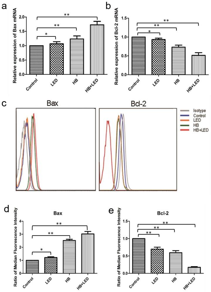https://cdn.ncbi.nlm.nih.gov/pmc/blobs/70ea/5370439/d13767139df9/ijbsv13p0319g003.jpg