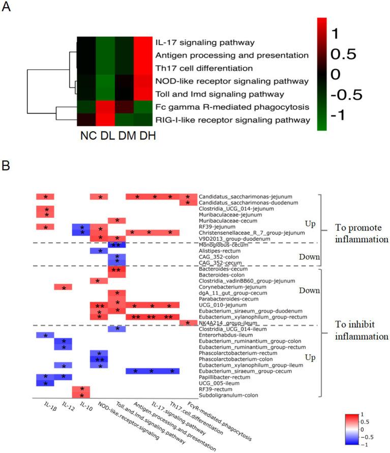 https://cdn.ncbi.nlm.nih.gov/pmc/blobs/70ec/11913833/aec4e95e71e1/fmicb-16-1508280-g009.jpg