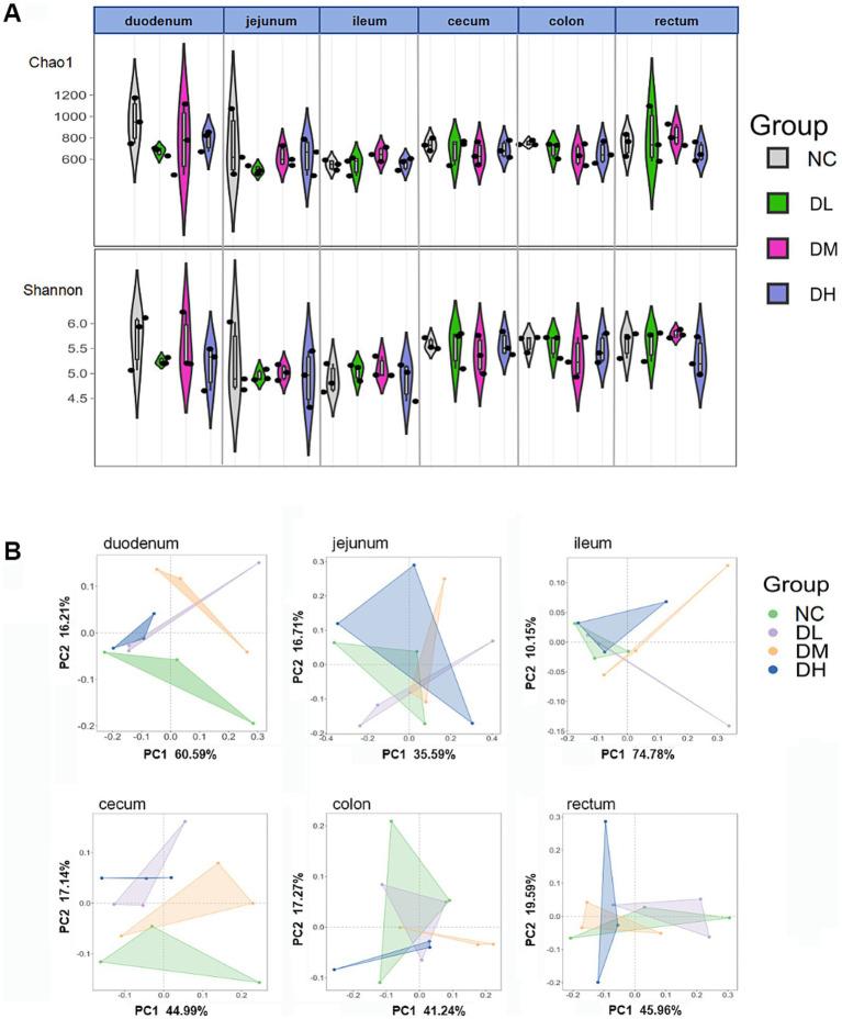 https://cdn.ncbi.nlm.nih.gov/pmc/blobs/70ec/11913833/b148ca7a0f24/fmicb-16-1508280-g007.jpg