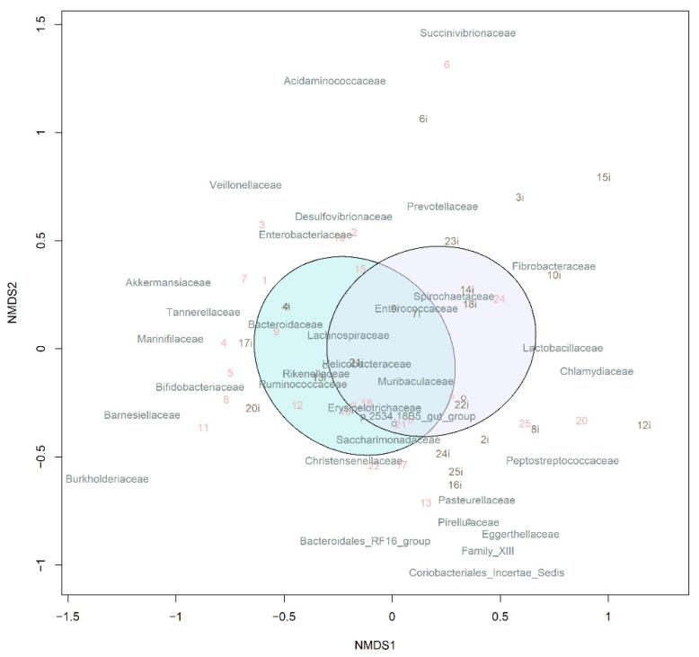 https://cdn.ncbi.nlm.nih.gov/pmc/blobs/70ee/9102408/517c42d3b798/cells-11-01409-g008.jpg