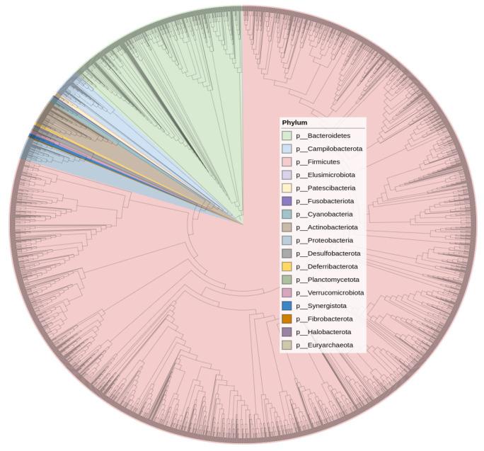 https://cdn.ncbi.nlm.nih.gov/pmc/blobs/70ee/9102408/6b617880f67c/cells-11-01409-g004.jpg