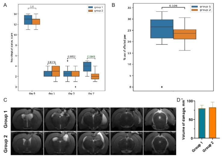 https://cdn.ncbi.nlm.nih.gov/pmc/blobs/70ee/9102408/a6d0d38a5da4/cells-11-01409-g001.jpg