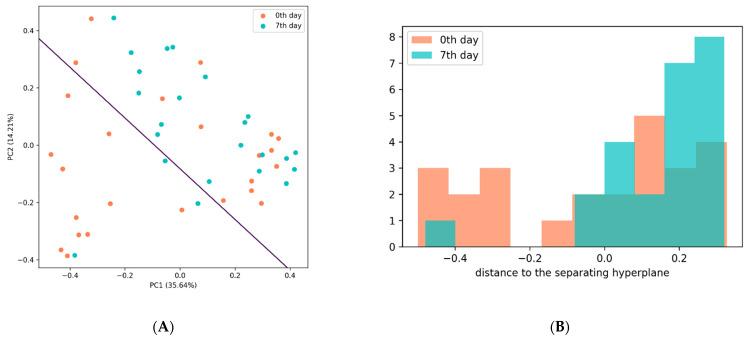 https://cdn.ncbi.nlm.nih.gov/pmc/blobs/70ee/9102408/b50a24e98689/cells-11-01409-g006.jpg