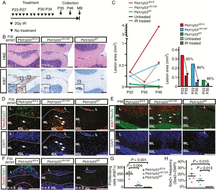 https://cdn.ncbi.nlm.nih.gov/pmc/blobs/70f1/7212870/24c3cc5d7270/vdz027f0002.jpg