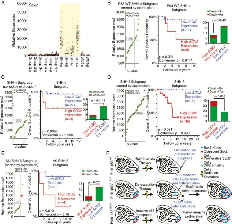 https://cdn.ncbi.nlm.nih.gov/pmc/blobs/70f1/7212870/78456d9926c9/vdz027f0006.jpg