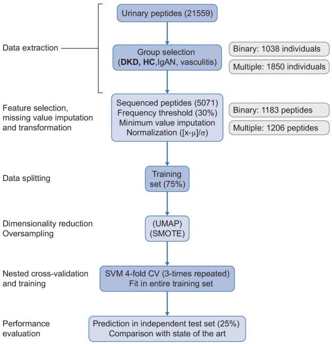 https://cdn.ncbi.nlm.nih.gov/pmc/blobs/70f2/10899775/e98f68e3e391/gfad200fig1.jpg