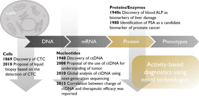 https://cdn.ncbi.nlm.nih.gov/pmc/blobs/70f2/12291115/f0cba2b3f57e/oc5c00100_0002.jpg