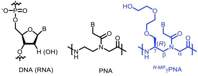 https://cdn.ncbi.nlm.nih.gov/pmc/blobs/70f2/5733847/e8547d1b79cf/yjbm_90_4_583_g05.jpg