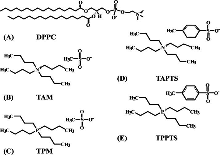 https://cdn.ncbi.nlm.nih.gov/pmc/blobs/70f2/7905935/c1675fb3eacf/ao0c06014_0002.jpg