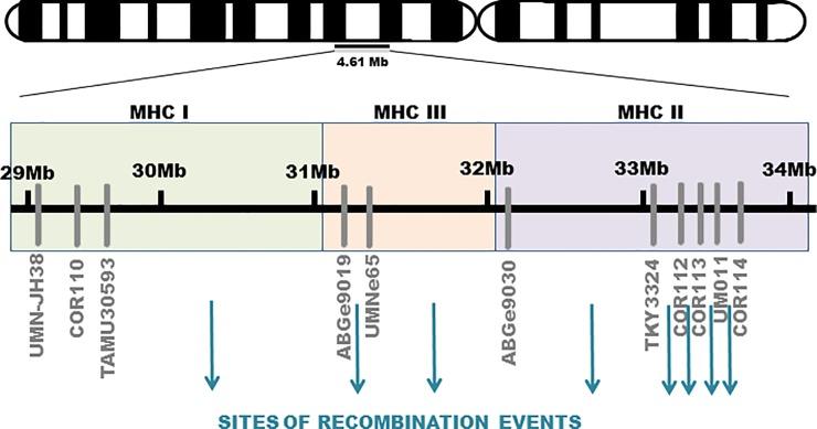 https://cdn.ncbi.nlm.nih.gov/pmc/blobs/70f5/6996847/4c0df7ebd945/pone.0228658.g003.jpg