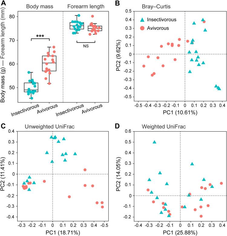 https://cdn.ncbi.nlm.nih.gov/pmc/blobs/70f7/8386476/69e1641ecb25/msphere.00467-21-f002.jpg