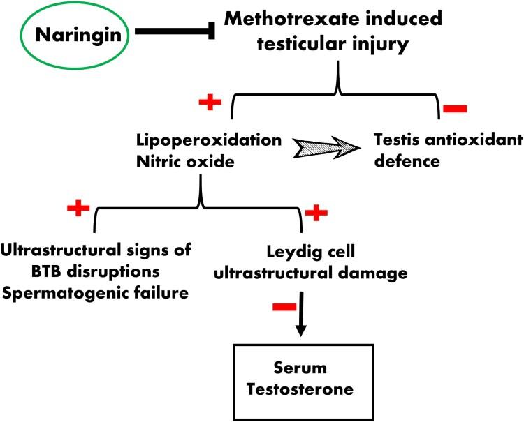 https://cdn.ncbi.nlm.nih.gov/pmc/blobs/70f8/9310850/7f39e286fea4/YRER_A_2101832_F0008_OC.jpg