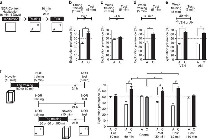 https://cdn.ncbi.nlm.nih.gov/pmc/blobs/70f9/4974651/2200364439c8/ncomms12319-f1.jpg