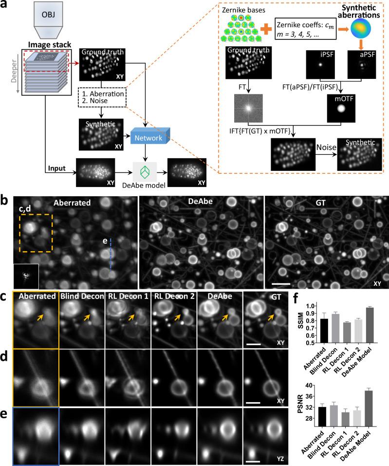 https://cdn.ncbi.nlm.nih.gov/pmc/blobs/70fa/11697233/94133f534fc3/41467_2024_55267_Fig1_HTML.jpg