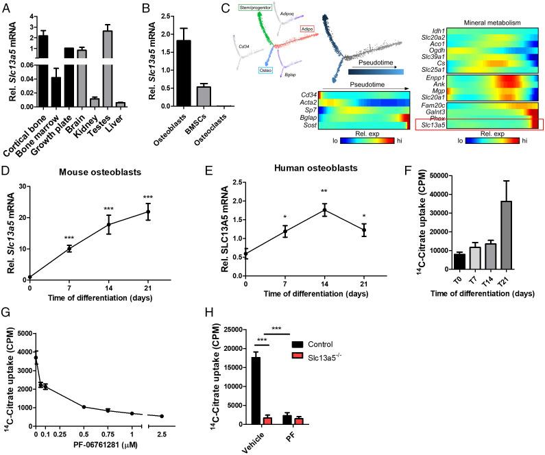https://cdn.ncbi.nlm.nih.gov/pmc/blobs/70fb/9659386/cd20627470bf/pnas.2212178119fig01.jpg