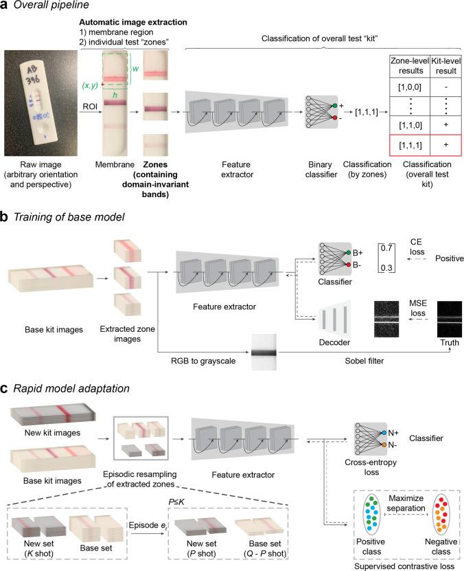https://cdn.ncbi.nlm.nih.gov/pmc/blobs/70fe/10290128/219e507a95c2/43856_2023_312_Fig2_HTML.jpg