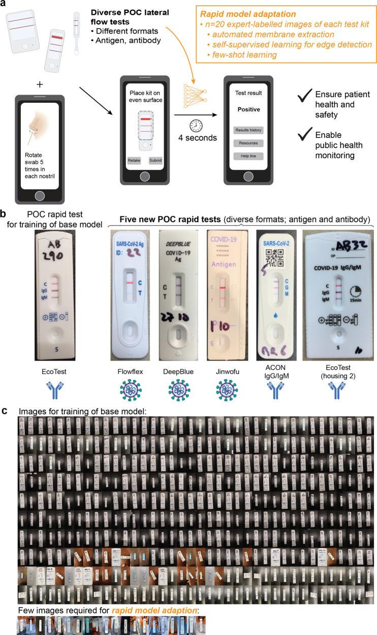 https://cdn.ncbi.nlm.nih.gov/pmc/blobs/70fe/10290128/9cb4d482eb55/43856_2023_312_Fig1_HTML.jpg