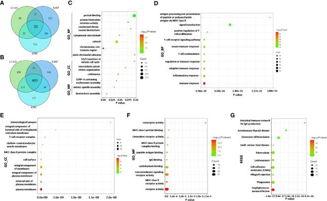 https://cdn.ncbi.nlm.nih.gov/pmc/blobs/70ff/9157497/bef4bba25025/fimmu-13-903461-g007.jpg