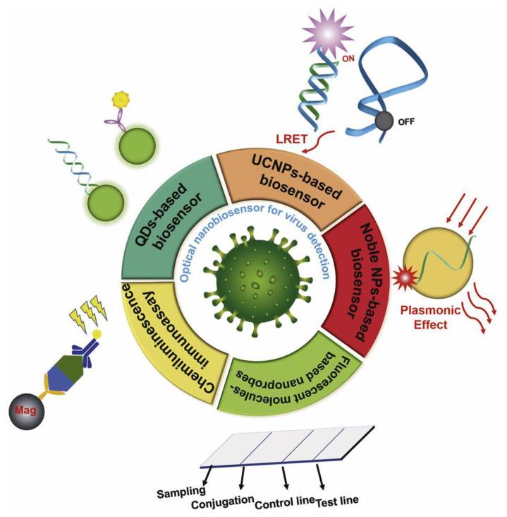 https://cdn.ncbi.nlm.nih.gov/pmc/blobs/7100/10296108/0062bffc9ba0/biosensors-13-00640-g007.jpg