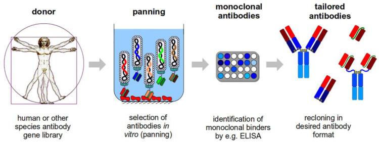 https://cdn.ncbi.nlm.nih.gov/pmc/blobs/7100/10296108/21207b303e7d/biosensors-13-00640-g008.jpg