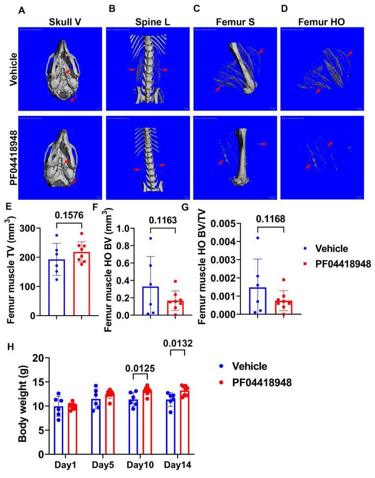 https://cdn.ncbi.nlm.nih.gov/pmc/blobs/7100/11763967/329ccf5c5fae/cells-14-00116-g004.jpg