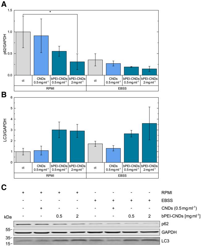 https://cdn.ncbi.nlm.nih.gov/pmc/blobs/7100/11780158/3998c9cce375/gr6.jpg