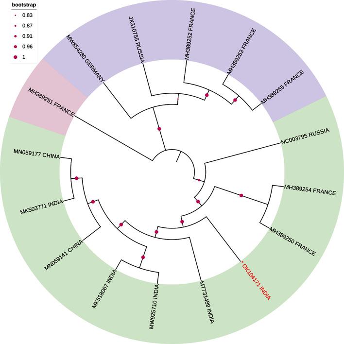 https://cdn.ncbi.nlm.nih.gov/pmc/blobs/7103/11075298/937896b604c4/12863_2024_1196_Fig3_HTML.jpg