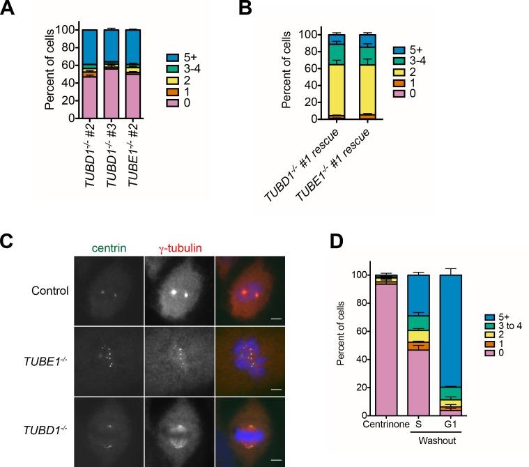 https://cdn.ncbi.nlm.nih.gov/pmc/blobs/7103/5653238/73fa04472774/elife-29061-fig3-figsupp1.jpg