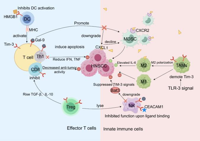 https://cdn.ncbi.nlm.nih.gov/pmc/blobs/7109/12092856/5bffd66db0a3/12672_2025_2673_Fig2_HTML.jpg
