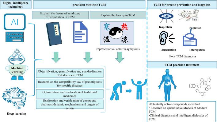 https://cdn.ncbi.nlm.nih.gov/pmc/blobs/710c/12012302/c04ad98aa46c/fphar-16-1526187-g003.jpg