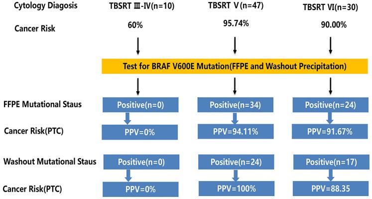 https://cdn.ncbi.nlm.nih.gov/pmc/blobs/710d/8606728/03ac5c5cb6ac/10.1177_15330338211057982-fig1.jpg