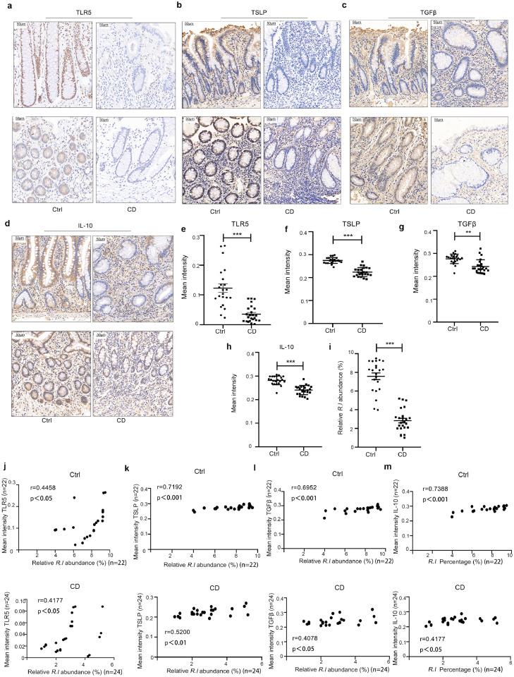 https://cdn.ncbi.nlm.nih.gov/pmc/blobs/710e/9526137/02a0bc0dd54f/gr6.jpg