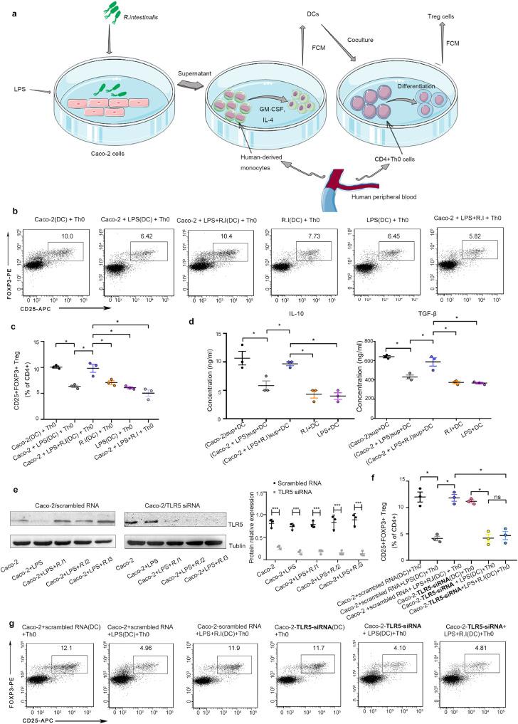 https://cdn.ncbi.nlm.nih.gov/pmc/blobs/710e/9526137/2b0dc1b78b82/gr4.jpg